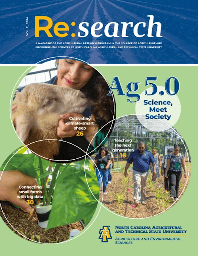 Sheep and students walking in a farm, focusing on sustainable agriculture and environmental sciences.