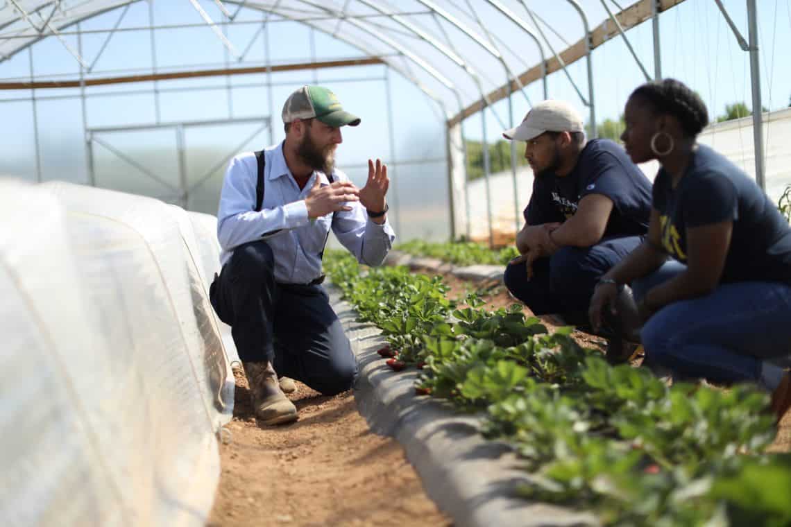 Expert teaching sustainable agriculture techniques in a greenhouse environment.